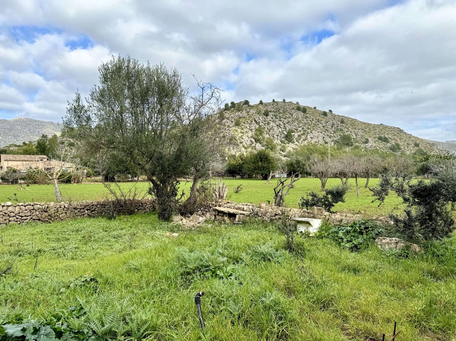 3 quarto Quinta/Casa Rural para venda em Pollensa / Pollenca com garagem - 899 000 € (Ref: 6260675)