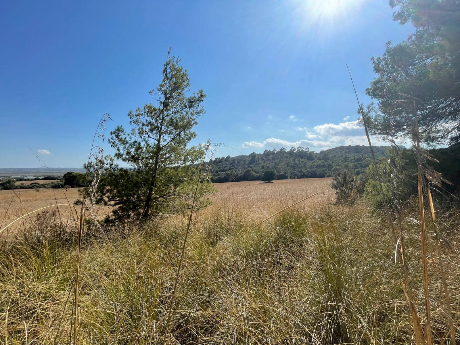 Building Plot for sale in Alcudia - € 2,100,000 (Ref: 6260676)