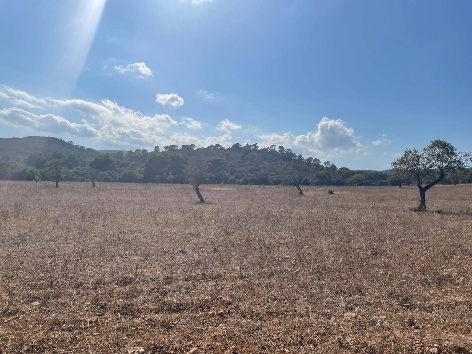 Building Plot for sale in Alcudia - € 2,100,000 (Ref: 6260676)