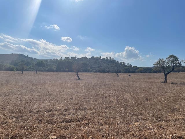 Area Edificabile in vendita in Alcúdia - 2.100.000 € (Rif: 6260676)