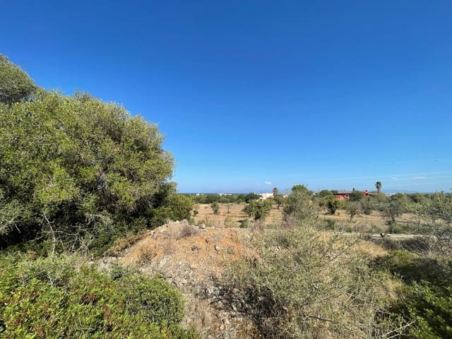 Area Edificabile in vendita in Alcúdia - 2.100.000 € (Rif: 6260676)