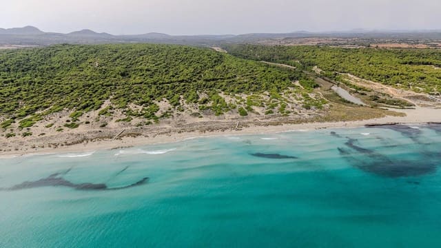 2 sypialnia Apartament do wynajęcia w Son Serra de Marina, Santa Margalida z garażem - 1 600 € (Ref: 6283217)