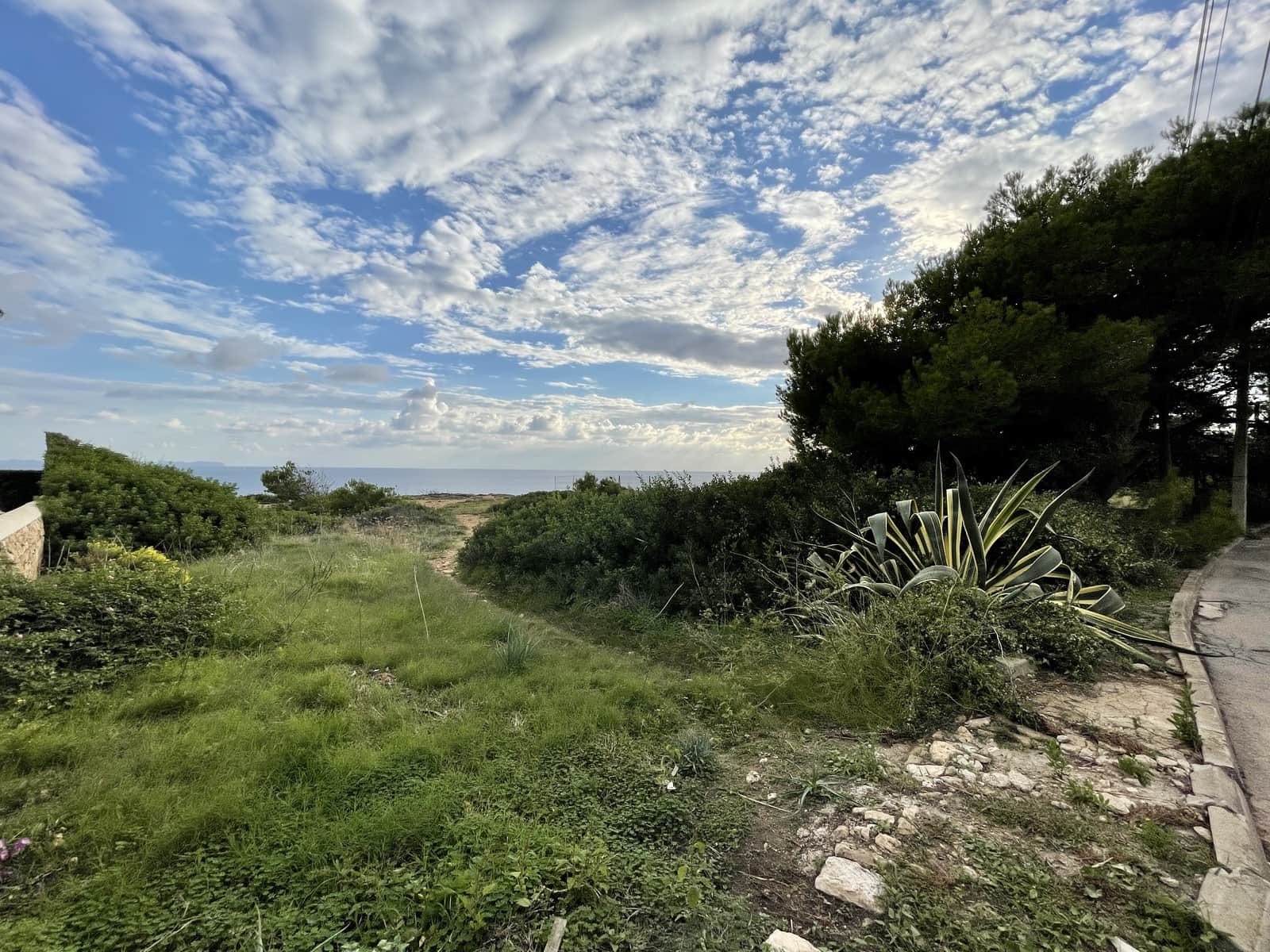 Tontti myytävänä paikassa Llucmajor - 1 250 000 € (Ref: 6418437)