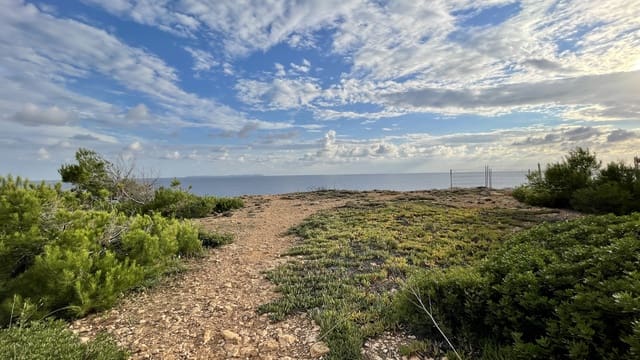 Tontti myytävänä paikassa Llucmajor - 1 250 000 € (Ref: 6418437)