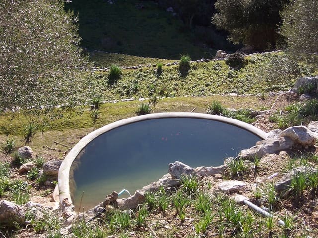 7 camera da letto Finca/Casa di Campagna in vendita in Escorca con piscina - 1.495.000 € (Rif: 6428744)