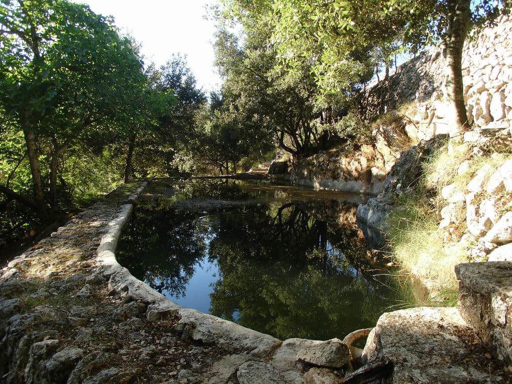 7 camera da letto Finca/Casa di Campagna in vendita in Escorca con piscina - 1.495.000 € (Rif: 6428744)