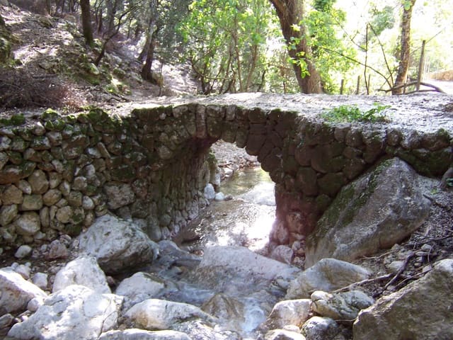 7 camera da letto Finca/Casa di Campagna in vendita in Escorca con piscina - 1.495.000 € (Rif: 6428744)