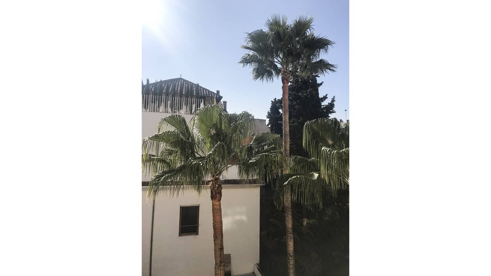 3 slaapkamer Appartement te huur in Palma de Mallorca met garage - € 2.300 (Ref: 6456786)