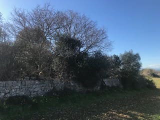 Area Edificabile in vendita in Felanitx - 400.000 € (Rif: 6456846)