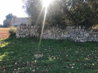 Area Edificabile in vendita in Felanitx - 400.000 € (Rif: 6456846)