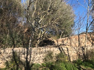 Area Edificabile in vendita in Felanitx - 400.000 € (Rif: 6456846)