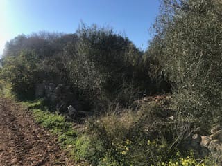 Area Edificabile in vendita in Felanitx - 400.000 € (Rif: 6456846)