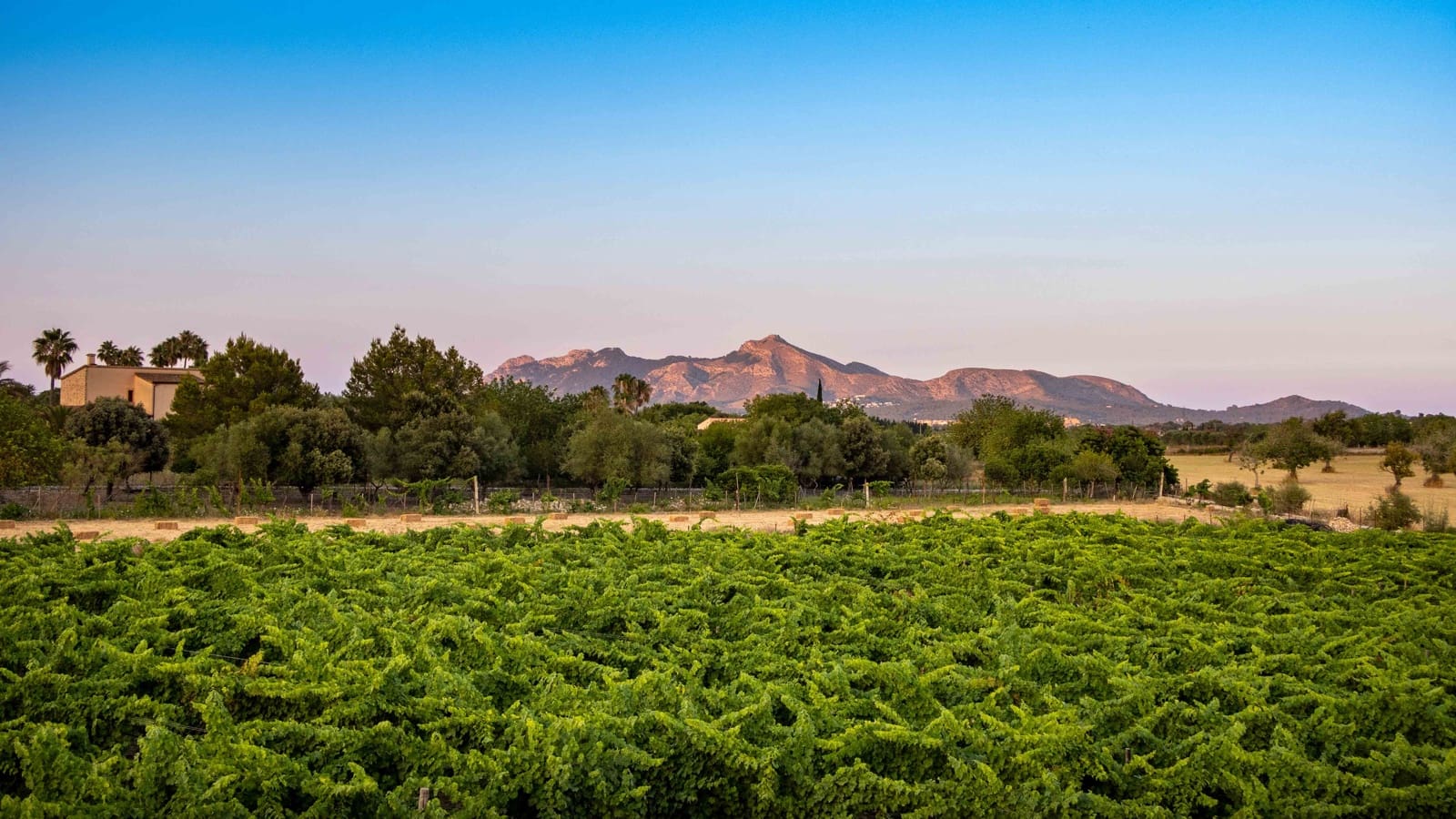 4 soverom Finca/Herregård til salgs i Alcudia med svømmebasseng garasje - € 4 200 000 (Ref: 6457049)