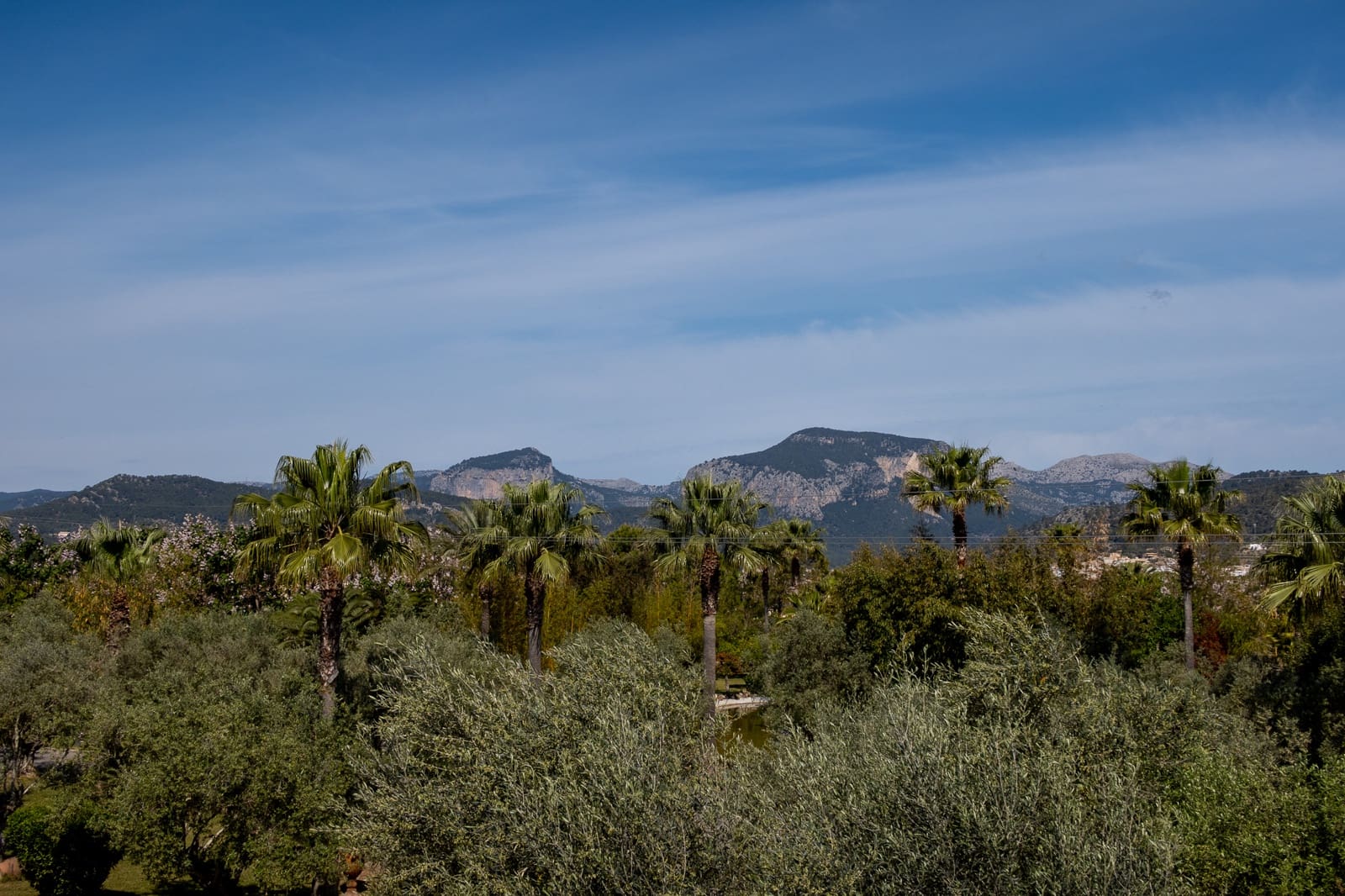 5 soveværelse Finca/Landehus til salg i Inca med swimmingpool garage - € 5.900.000 (Ref: 6457076)