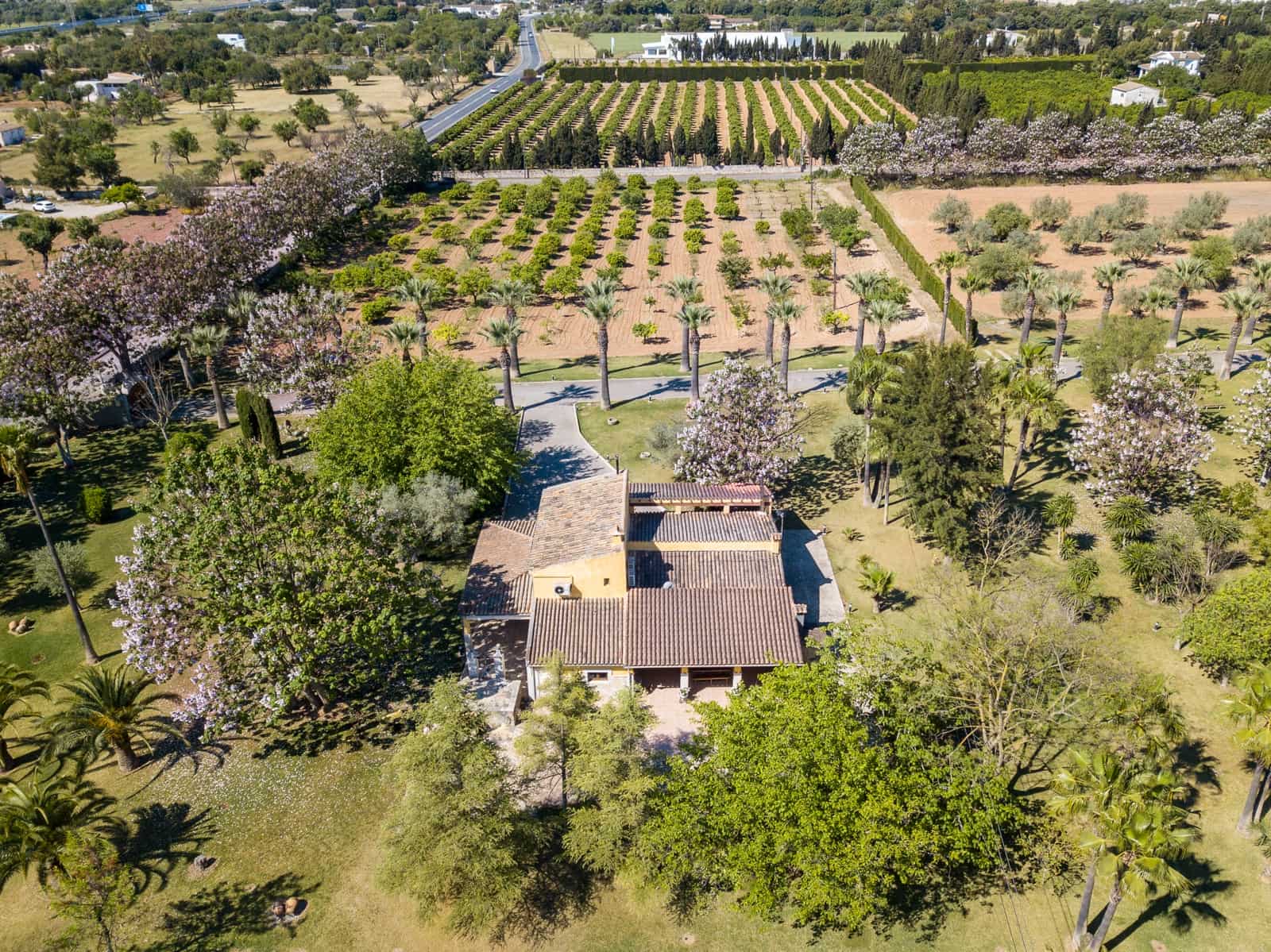 5 soveværelse Finca/Landehus til salg i Inca med swimmingpool garage - € 5.900.000 (Ref: 6457076)