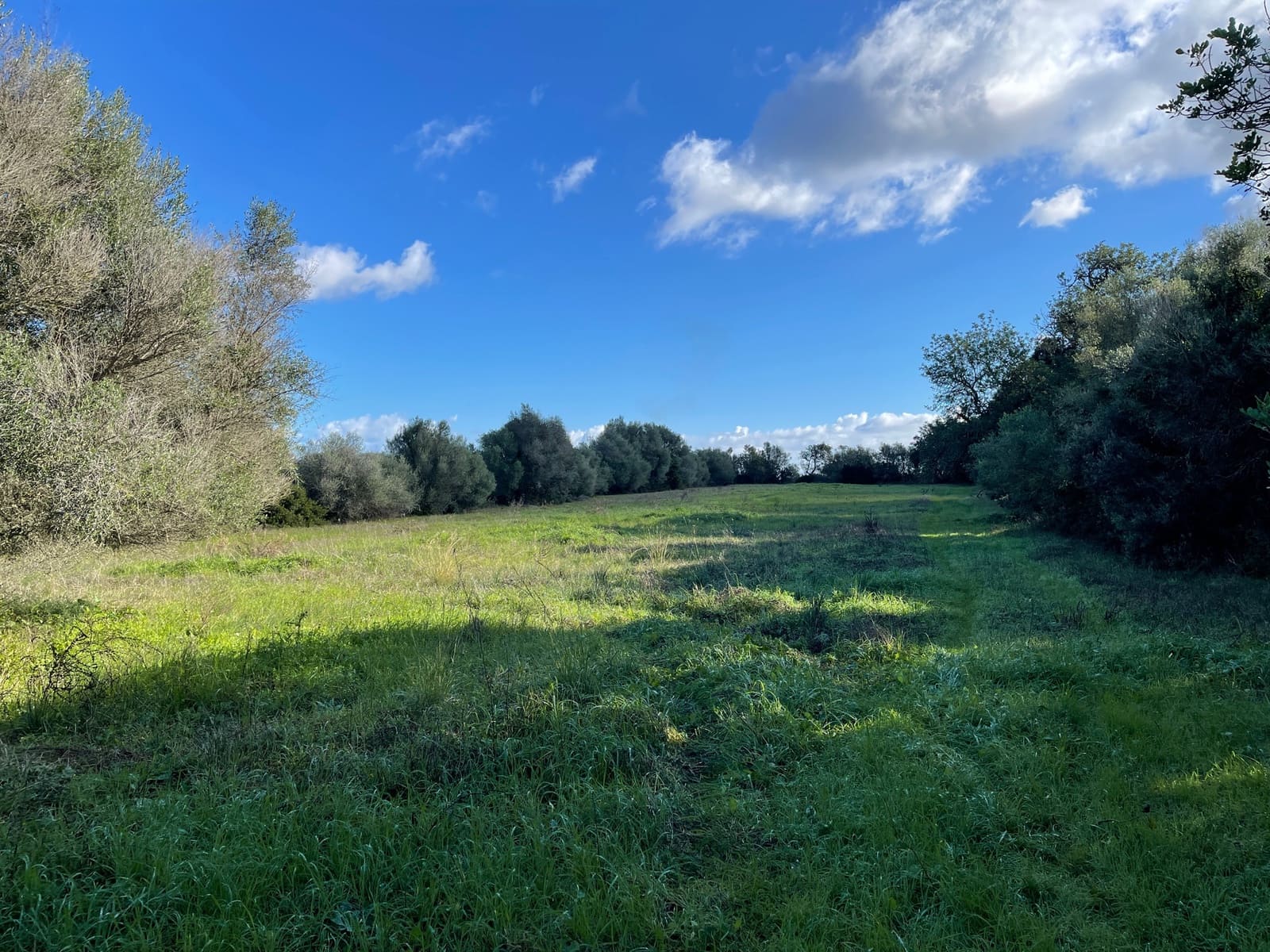 Bouwgrond te koop in Muro - € 250.000 (Ref: 6502299)