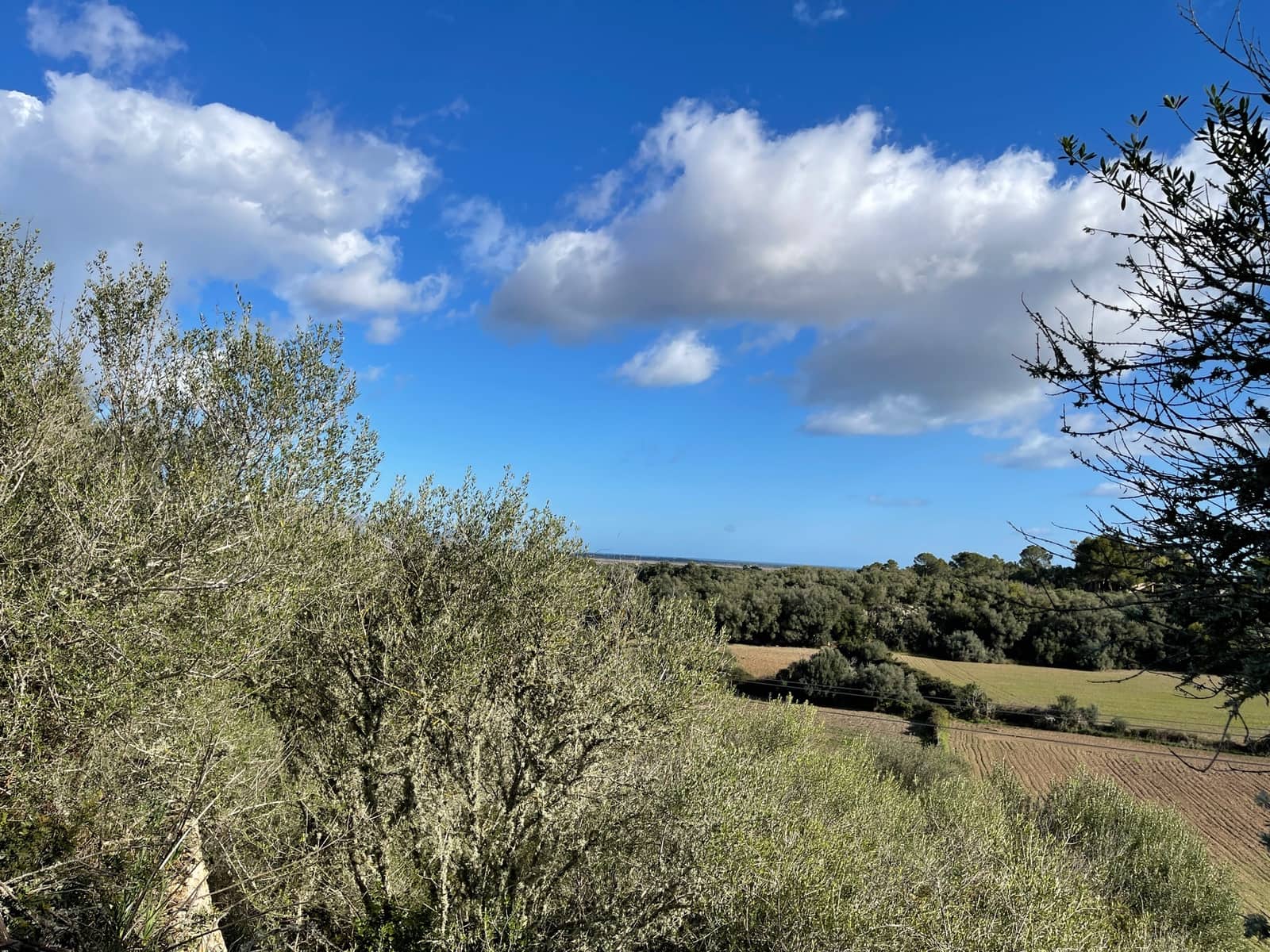 Bouwgrond te koop in Muro - € 250.000 (Ref: 6502299)