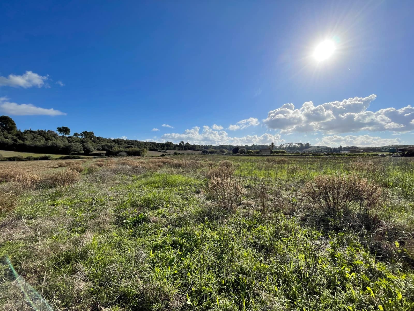 Bouwgrond te koop in Muro - € 250.000 (Ref: 6502299)