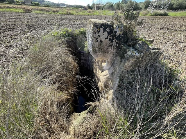 Building Plot for sale in Muro - € 250,000 (Ref: 6502299)