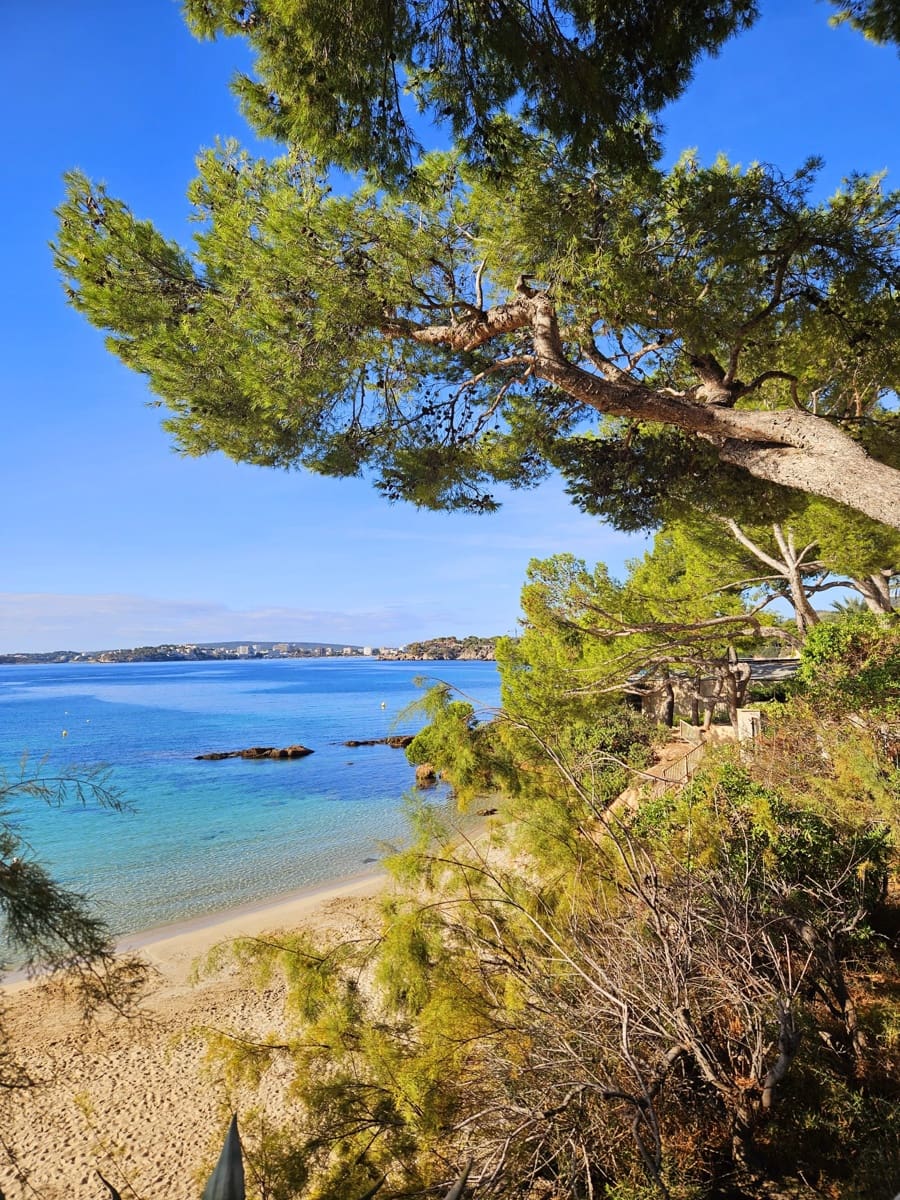 3 makuuhuone Huoneisto vuokrattavana paikassa Portals Nous - 2 200 € (Ref: 6583336)