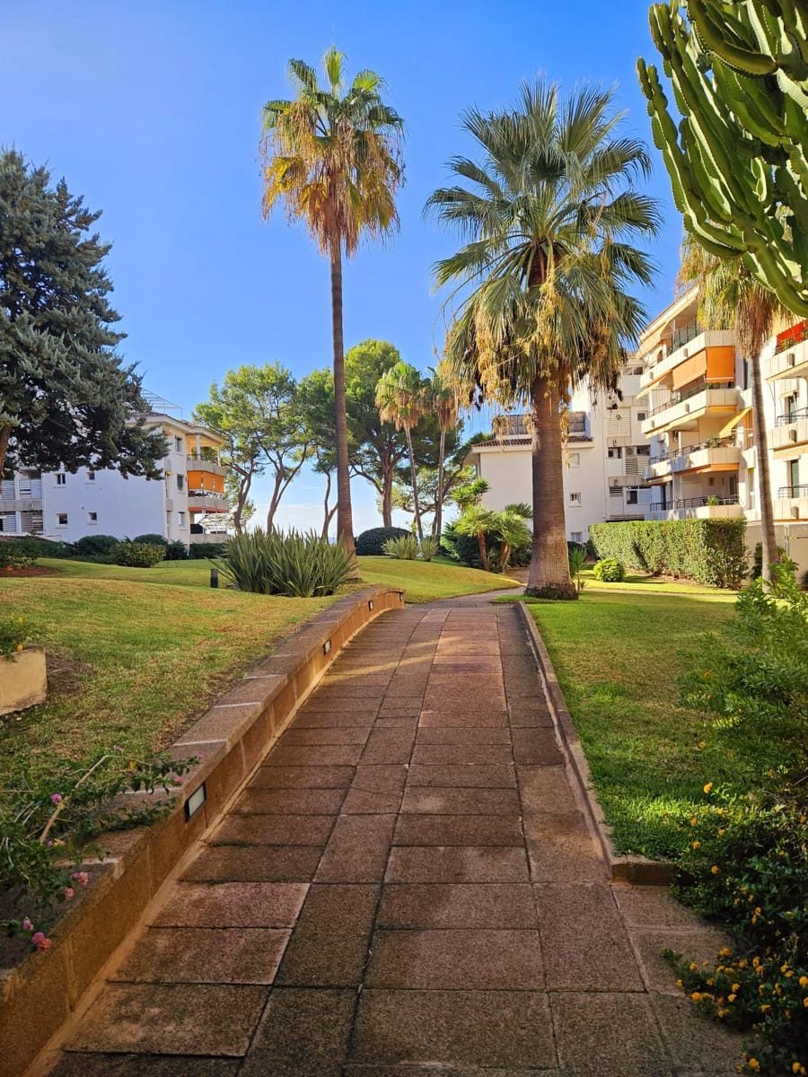 3 makuuhuone Huoneisto vuokrattavana paikassa Portals Nous - 2 200 € (Ref: 6583336)