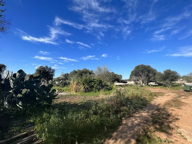 Bouwgrond te koop in Ses Salines - € 2.100.000 (Ref: 6676441)