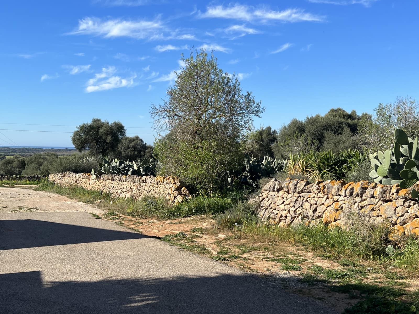 Bouwgrond te koop in Ses Salines - € 2.100.000 (Ref: 6676441)