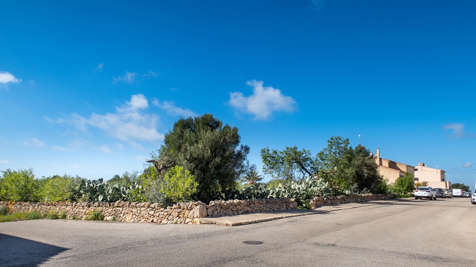 Bouwgrond te koop in Ses Salines - € 2.100.000 (Ref: 6676441)