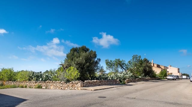 Bouwgrond te koop in Ses Salines - € 2.100.000 (Ref: 6676441)