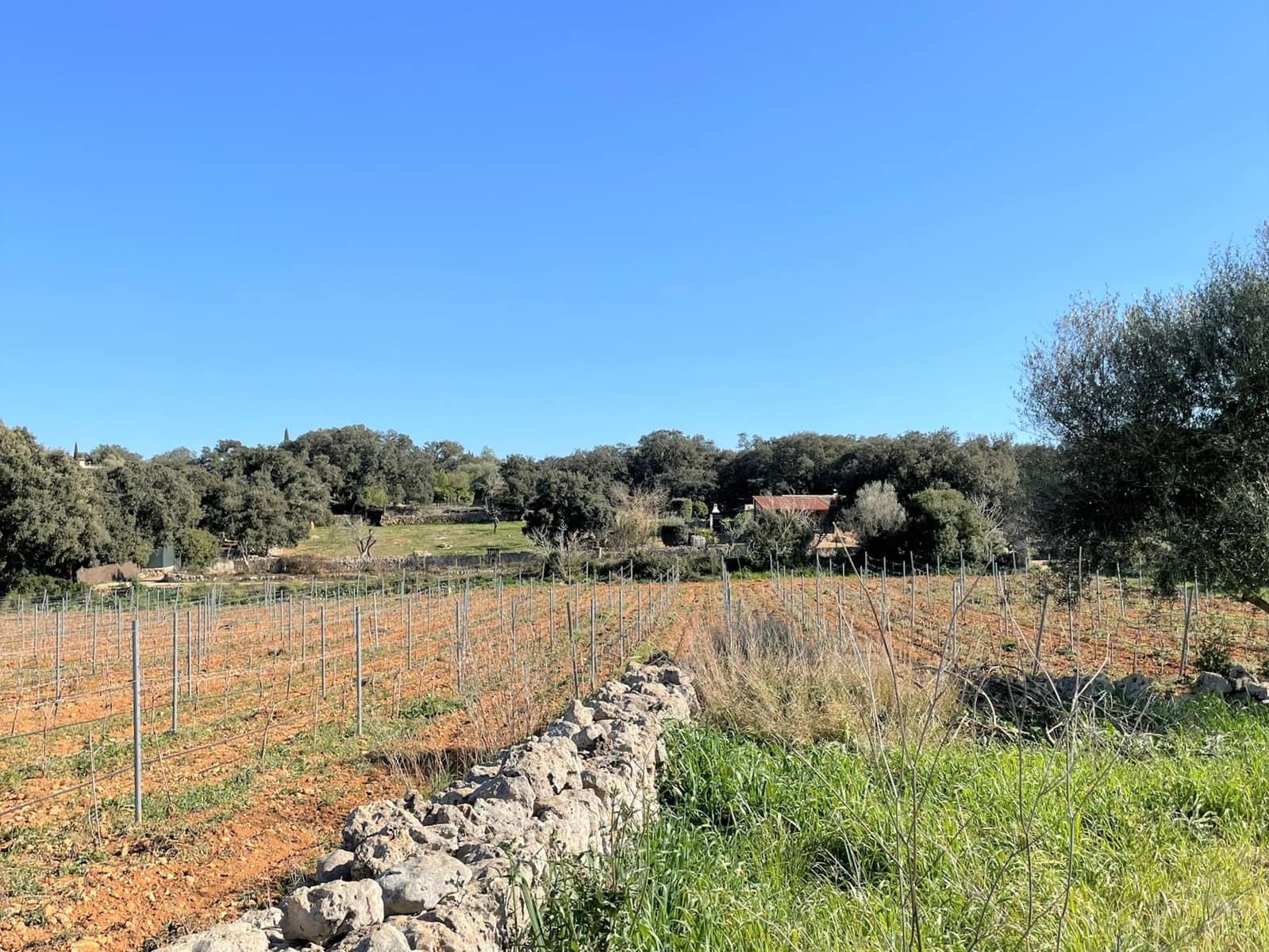 Byggegrund til salg i Costitx - € 610.000 (Ref: 6691899)