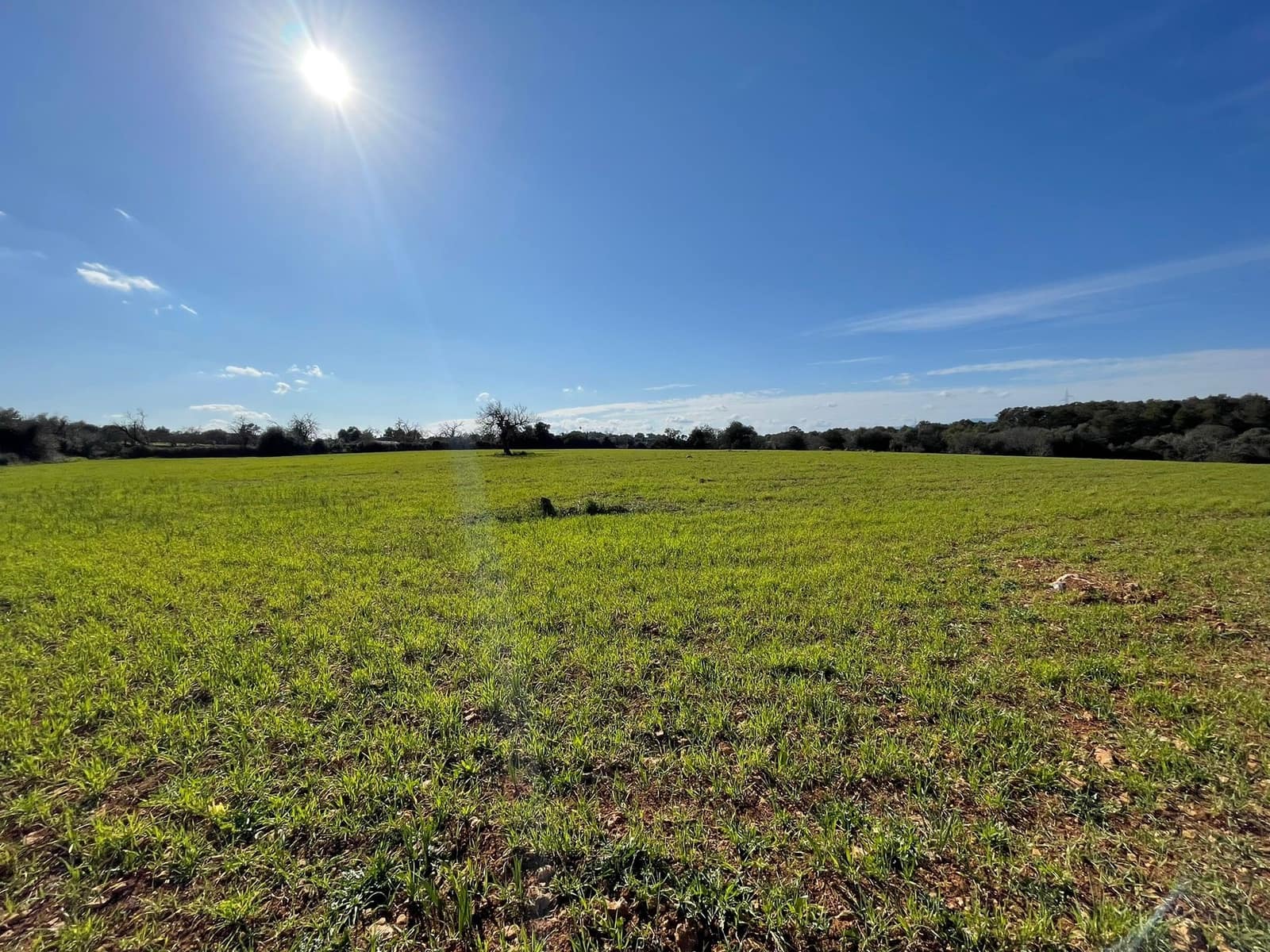 Byggegrund til salg i Costitx - € 610.000 (Ref: 6691899)