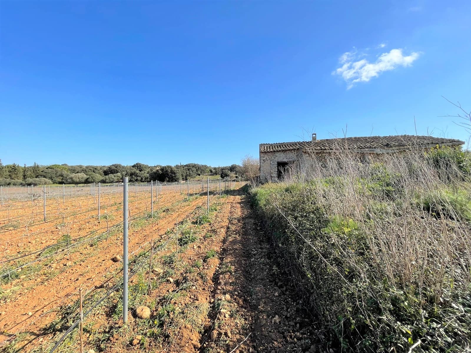 Byggegrund til salg i Costitx - € 610.000 (Ref: 6691899)