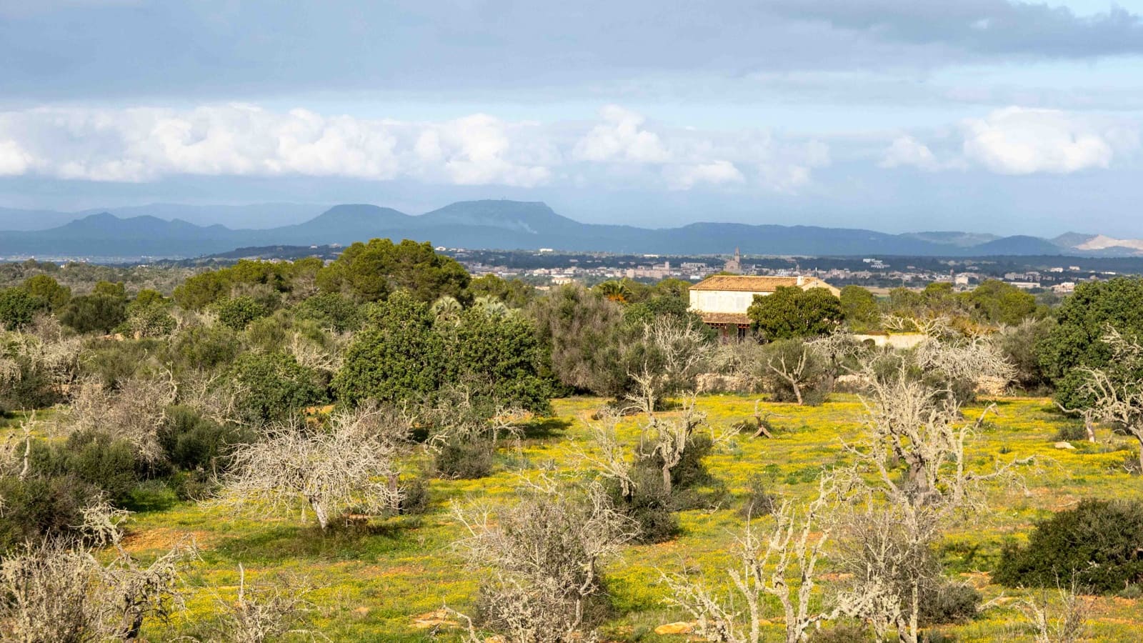 4 slaapkamer Finca/Landhuis te koop in Ses Salines met zwembad - € 2.400.000 (Ref: 6727762)