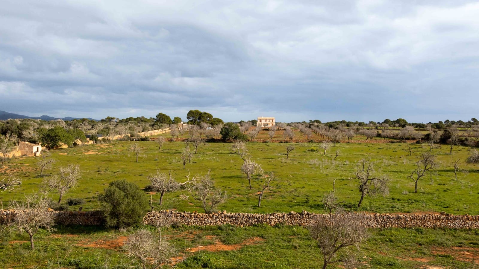 4 slaapkamer Finca/Landhuis te koop in Ses Salines met zwembad - € 2.400.000 (Ref: 6727762)