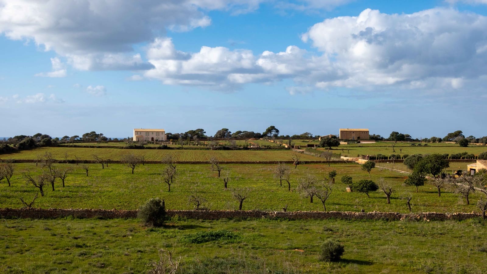 4 slaapkamer Finca/Landhuis te koop in Ses Salines met zwembad - € 2.400.000 (Ref: 6727762)