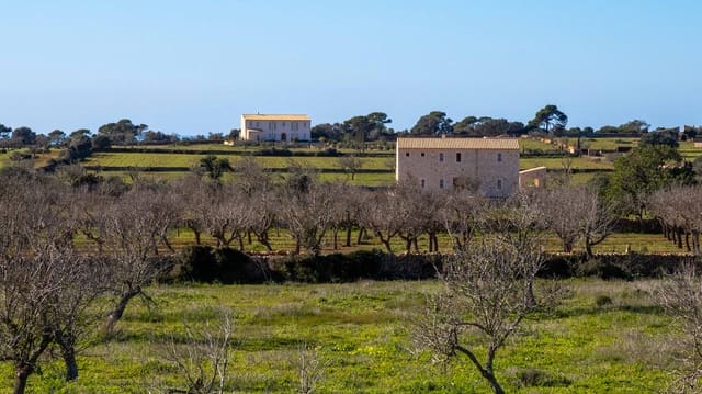 4 slaapkamer Finca/Landhuis te koop in Ses Salines met zwembad - € 2.400.000 (Ref: 6727762)