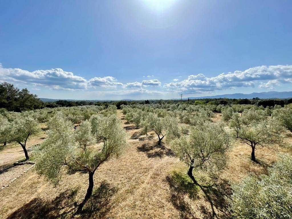 4 soveværelse Finca/Landehus til salg i Llubi med swimmingpool garage - € 2.200.000 (Ref: 6850832)