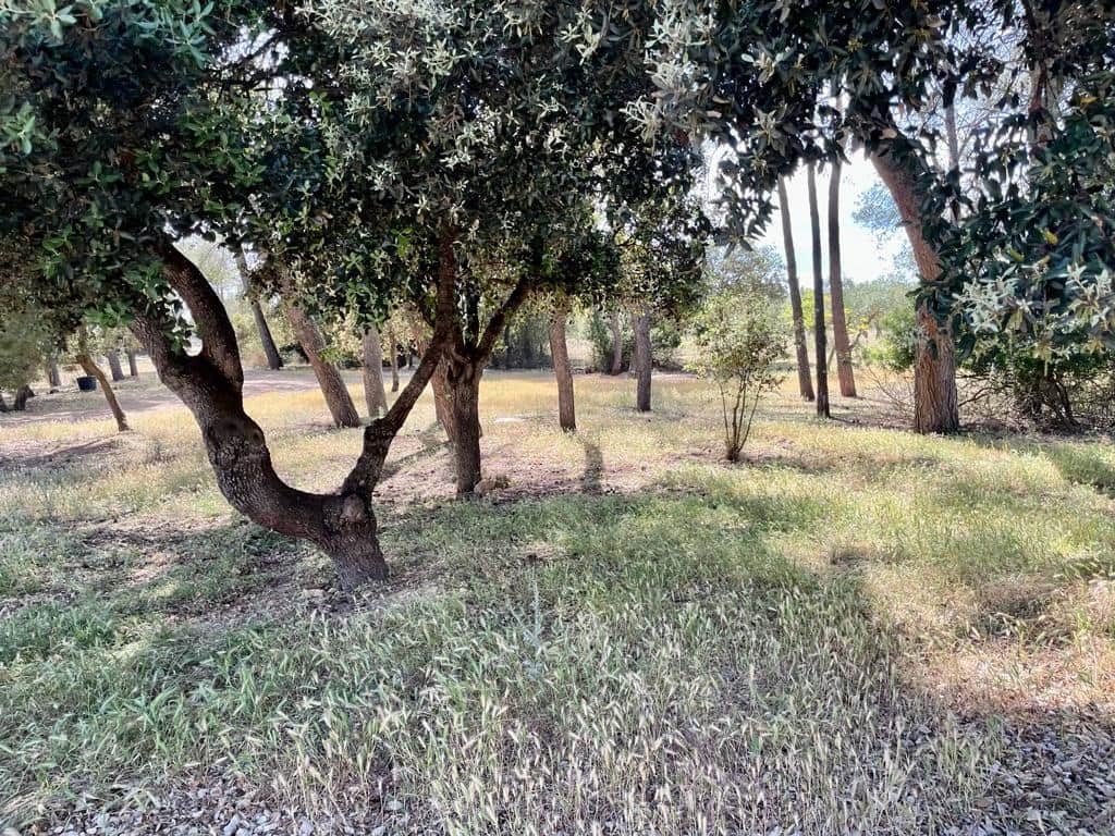 4 soveværelse Finca/Landehus til salg i Llubi med swimmingpool garage - € 2.200.000 (Ref: 6850832)