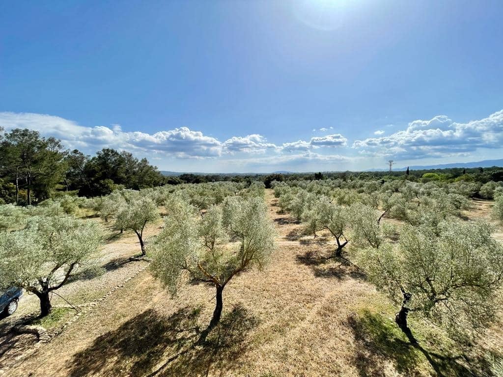 4 soveværelse Finca/Landehus til salg i Llubi med swimmingpool garage - € 2.200.000 (Ref: 6850832)