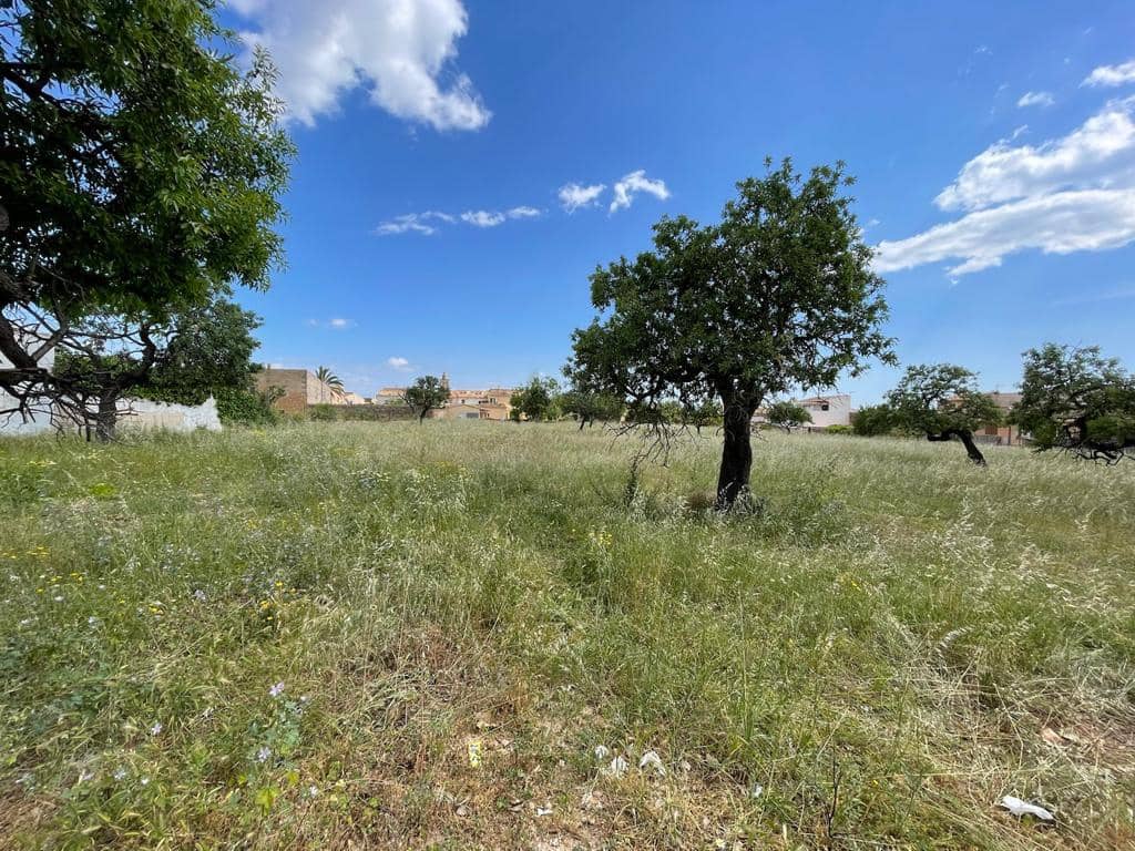 Byggegrund til salg i Consell - € 1.275.000 (Ref: 6850846)