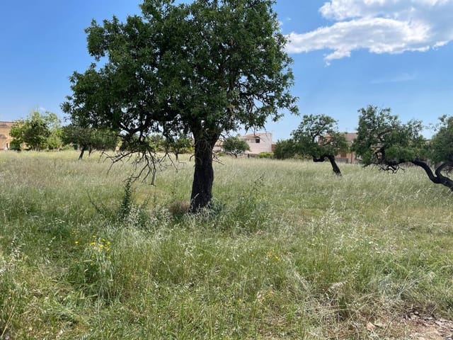 Byggegrund til salg i Consell - € 1.275.000 (Ref: 6850846)