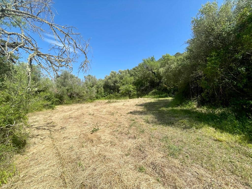 3 soverom Finca/Herregård til salgs i Pollensa / Pollenca med garasje - € 790 000 (Ref: 6888995)