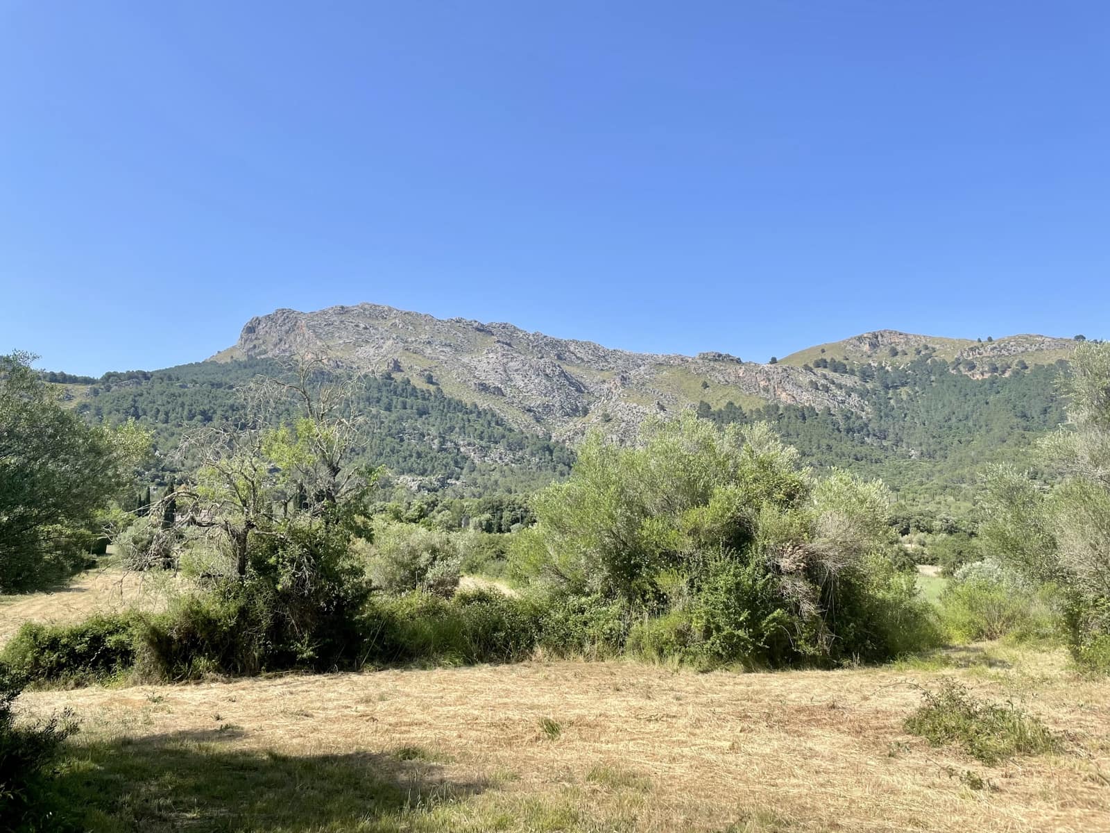 3 soverom Finca/Herregård til salgs i Pollensa / Pollenca med garasje - € 790 000 (Ref: 6888995)