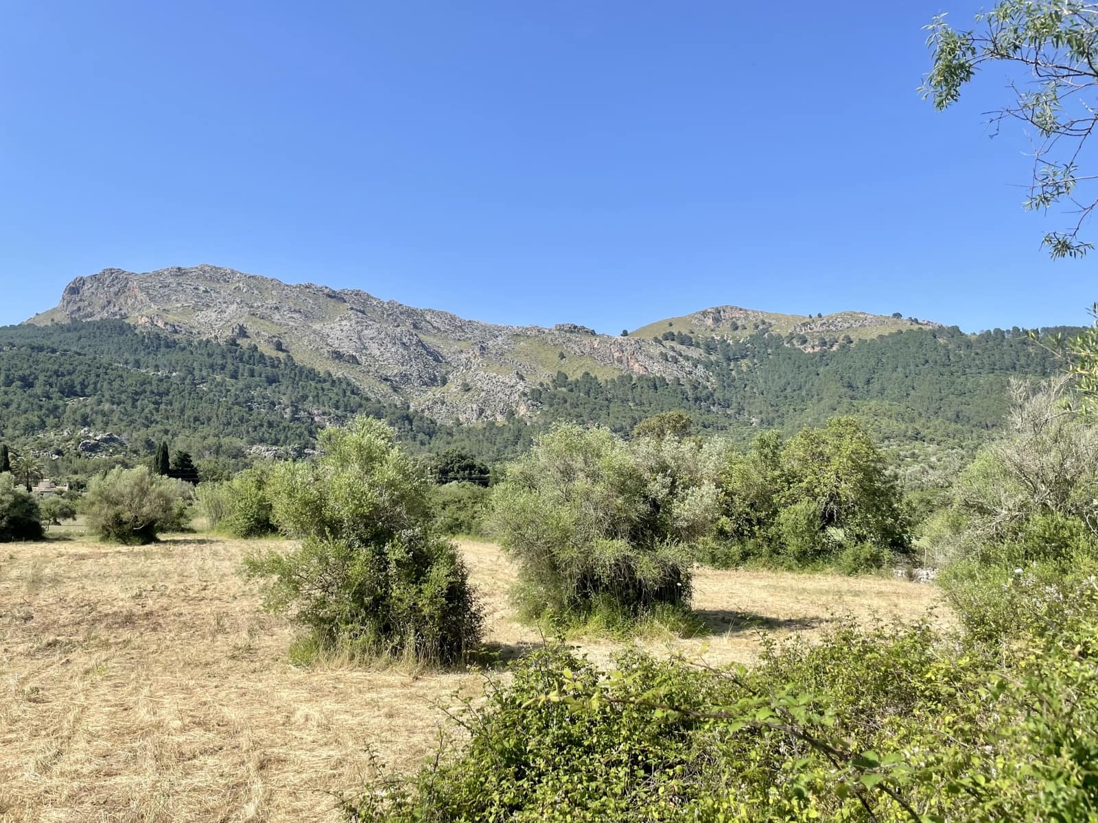 3 soverom Finca/Herregård til salgs i Pollensa / Pollenca med garasje - € 790 000 (Ref: 6888995)