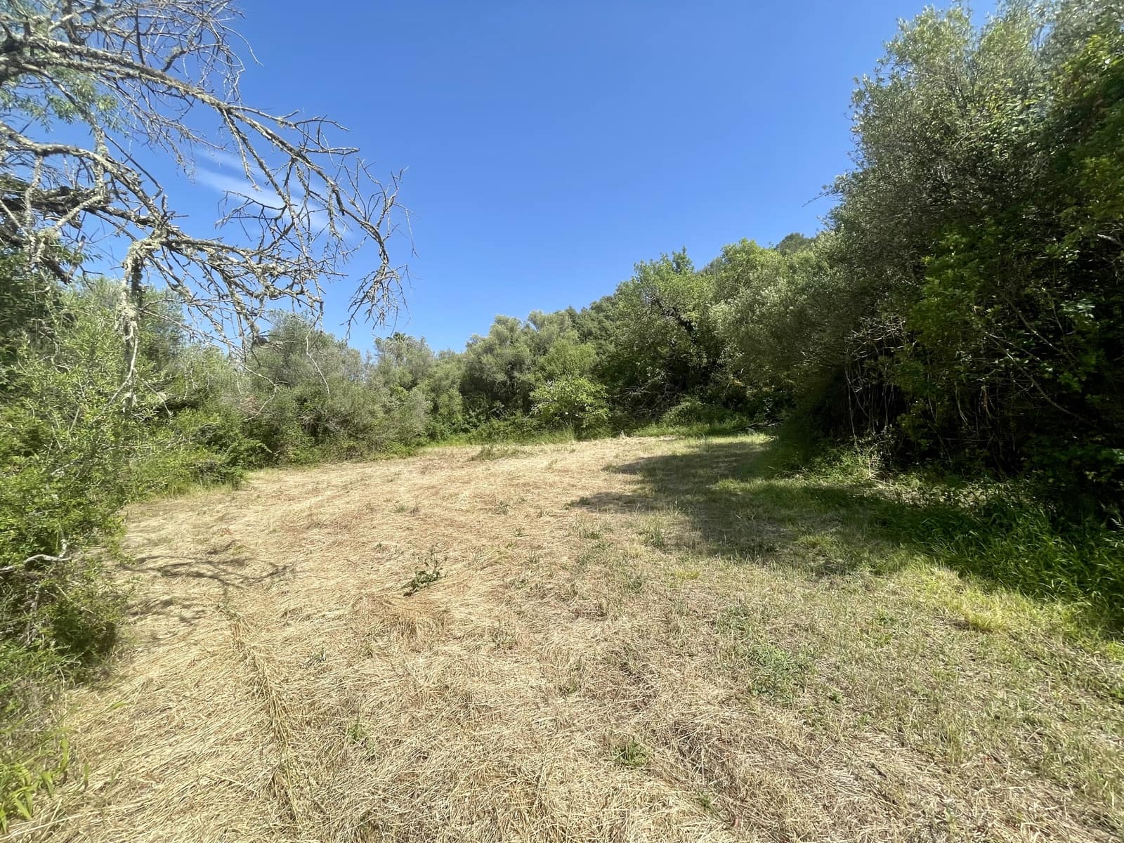 3 soverom Finca/Herregård til salgs i Pollensa / Pollenca med garasje - € 790 000 (Ref: 6888995)