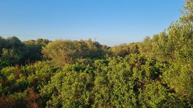 Bouwgrond te koop in Santanyí - € 880.000 (Ref: 6946336)