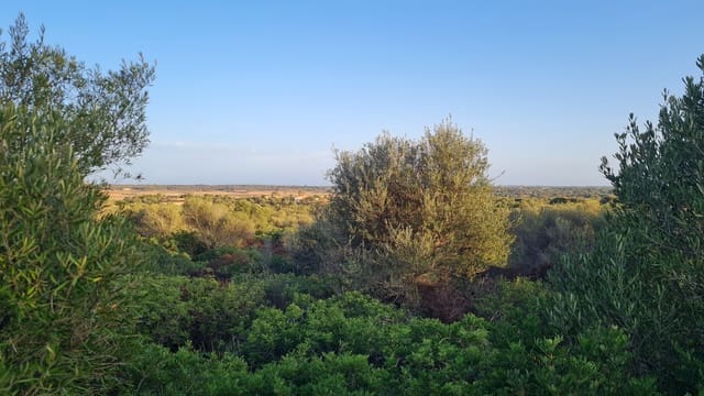 Bouwgrond te koop in Santanyí - € 880.000 (Ref: 6946336)