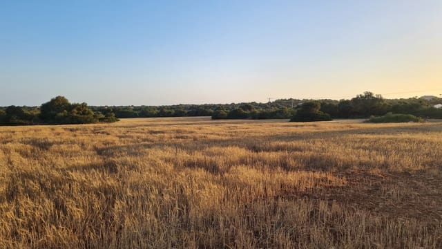 Bouwgrond te koop in Santanyí - € 750.000 (Ref: 6946338)