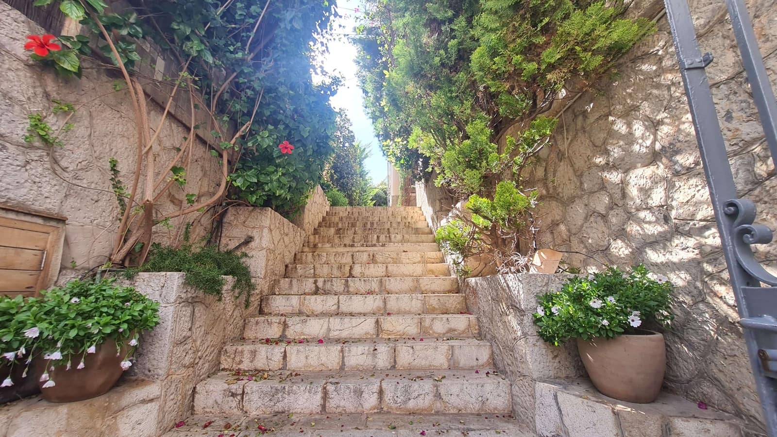 1 sovrum Takvåning att hyra i Palma de Mallorca - 2 250 € (Ref: 6995158)