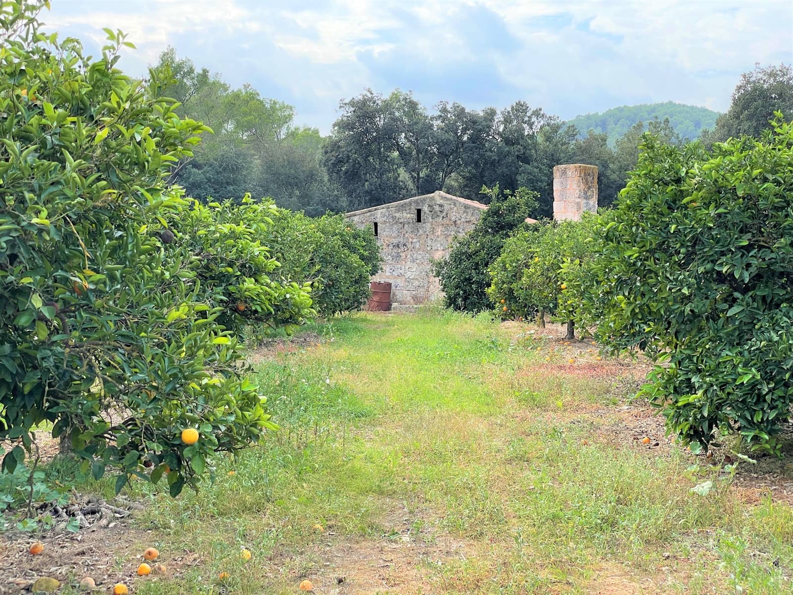 4 soveværelse Finca/Landehus til salg i Sa Pobla med swimmingpool garage - € 1.300.000 (Ref: 7225795)